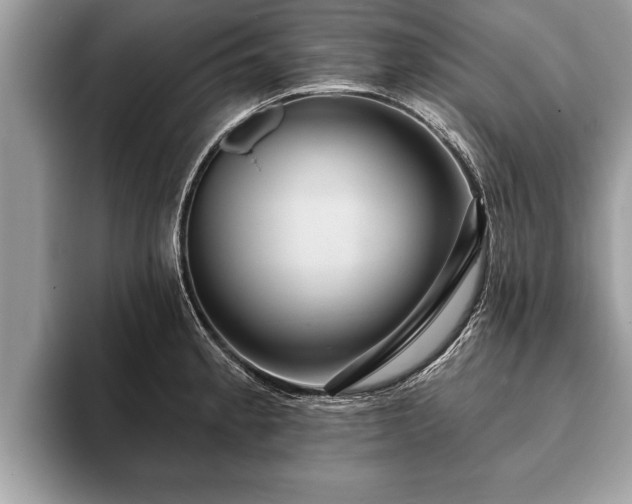 X0000093401189200710190918