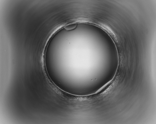 X0000093401190200710190918