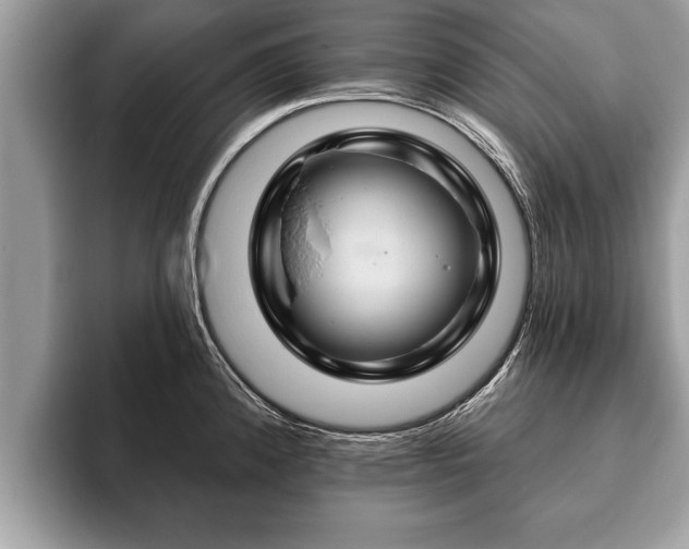 X0000093401192200710190918