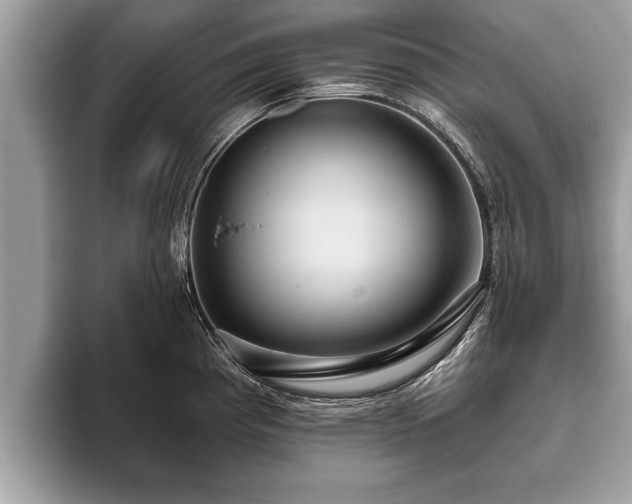 X0000093401193200710190918