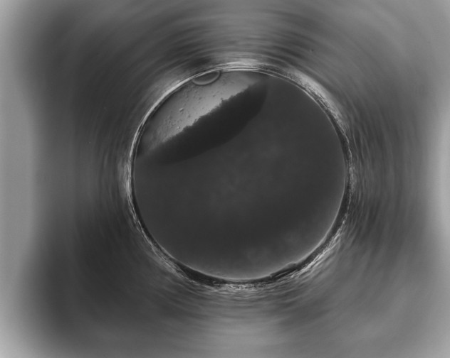 X0000093401194200710190918
