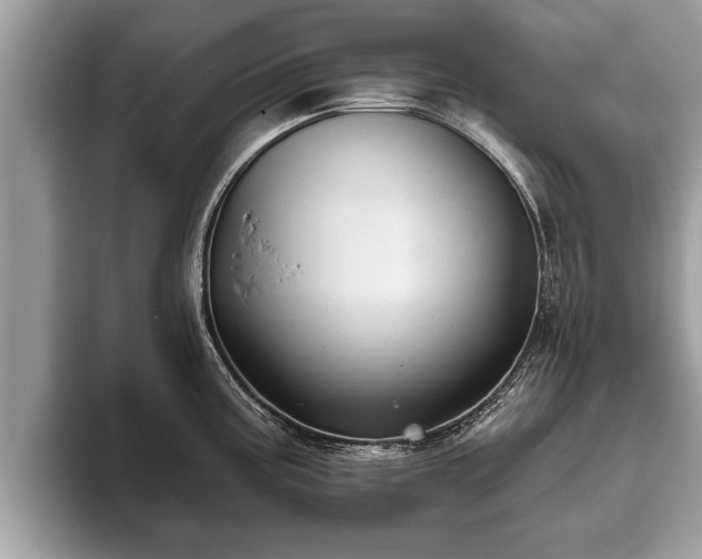X0000093401195200710190918