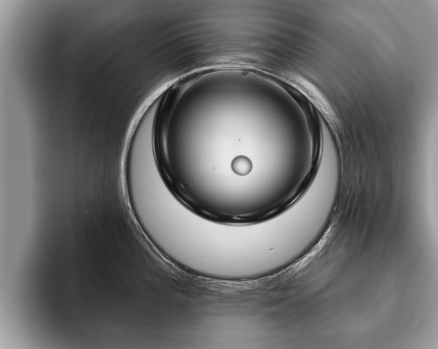 X0000093401196200710190918