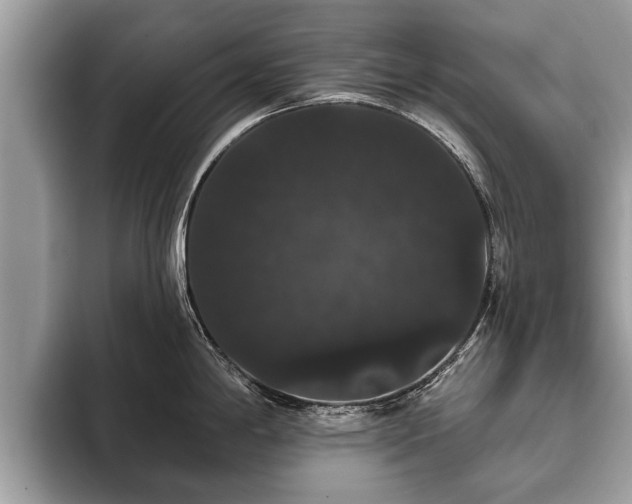 X0000093401198200710190918