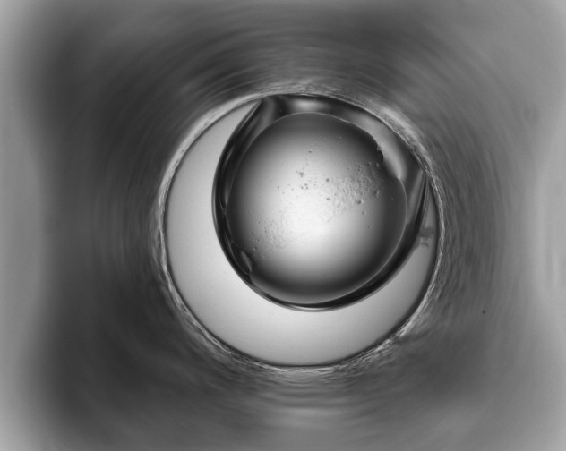 X0000093401200200710190918