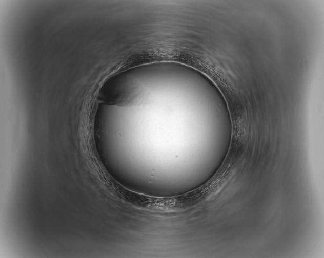 X0000093401201200710190917