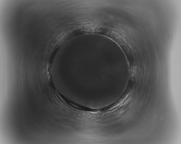 X0000093401202200710190917