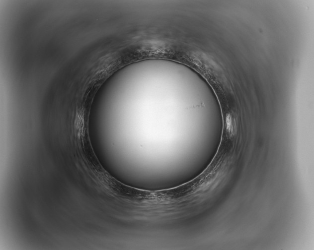 X0000093401203200710190917