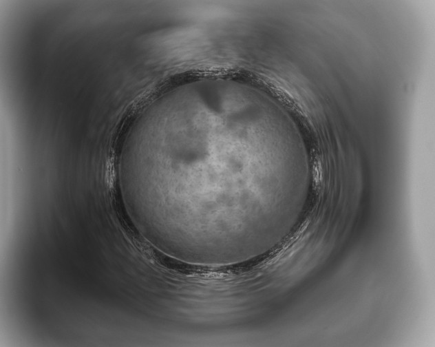 X0000093401204200710190917