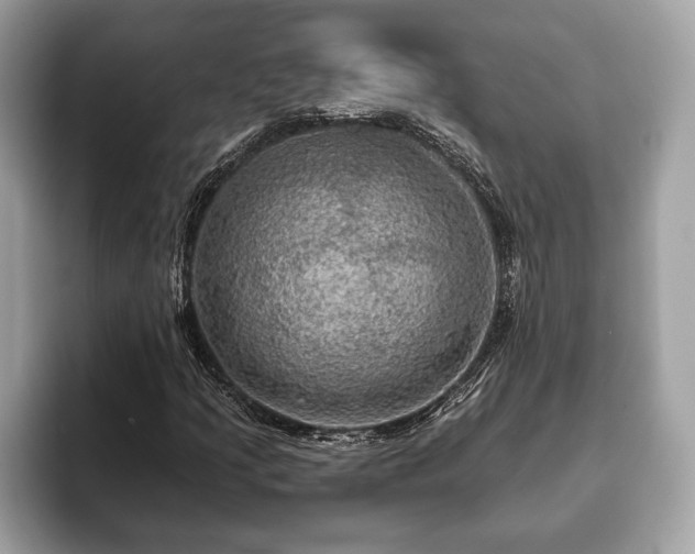 X0000093401205200710190917