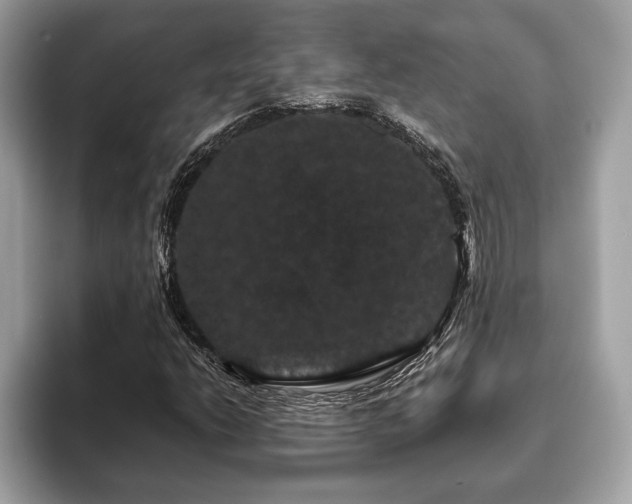 X0000093401206200710190917