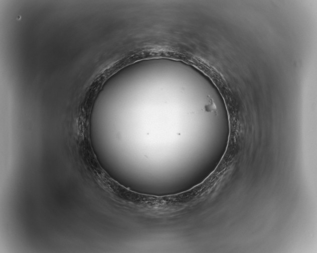 X0000093401207200710190917