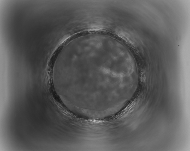 X0000093401208200710190917