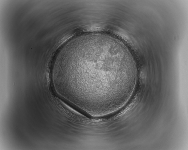 X0000093401209200710190917