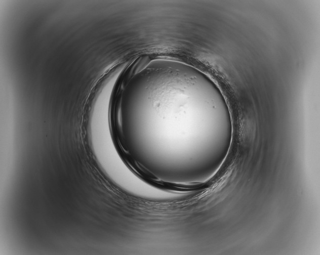 X0000093401210200710190917