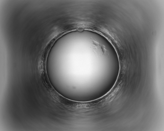 X0000093401211200710190917
