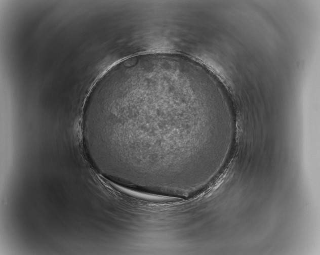 X0000093401212200710190917