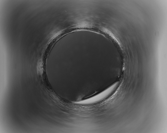 X0000093401213200710190917