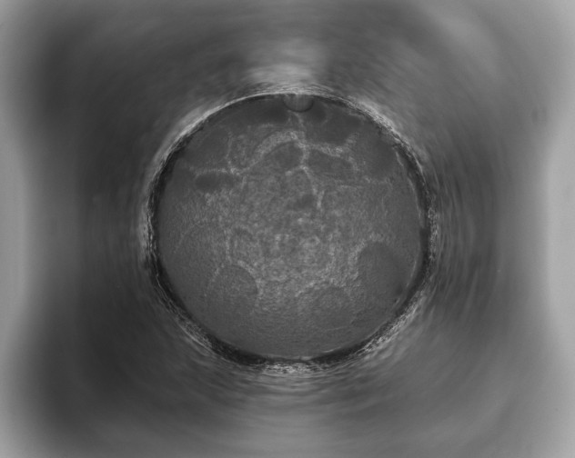 X0000093401215200710190917