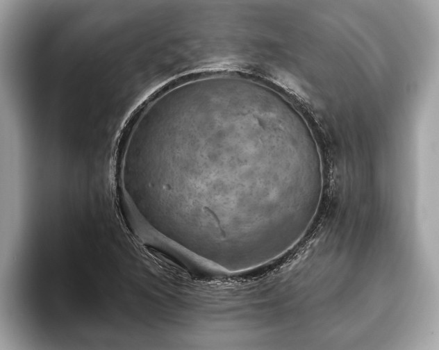 X0000093401216200710190917