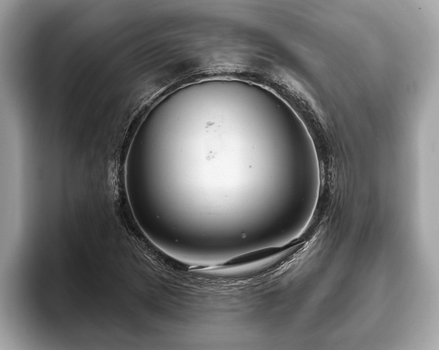 X0000093401217200710190917