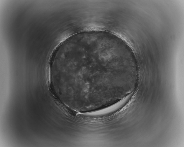 X0000093401219200710190917