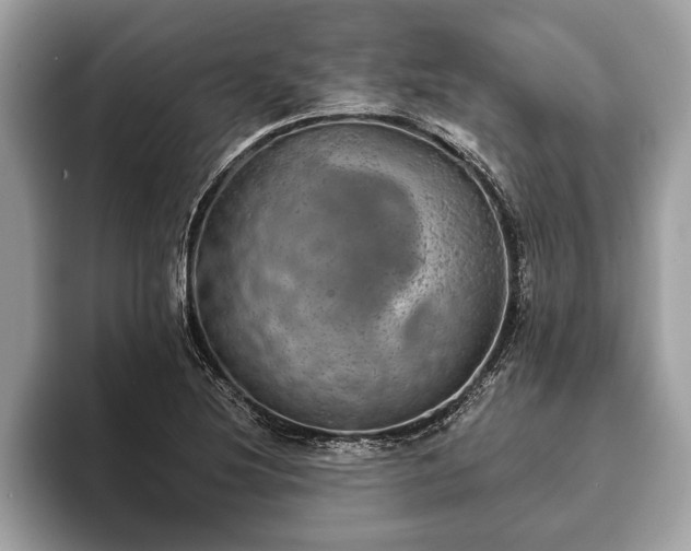 X0000093401220200710190917