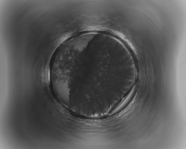 X0000093401221200710190917