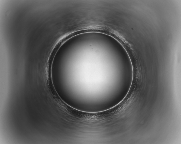 X0000093401222200710190917