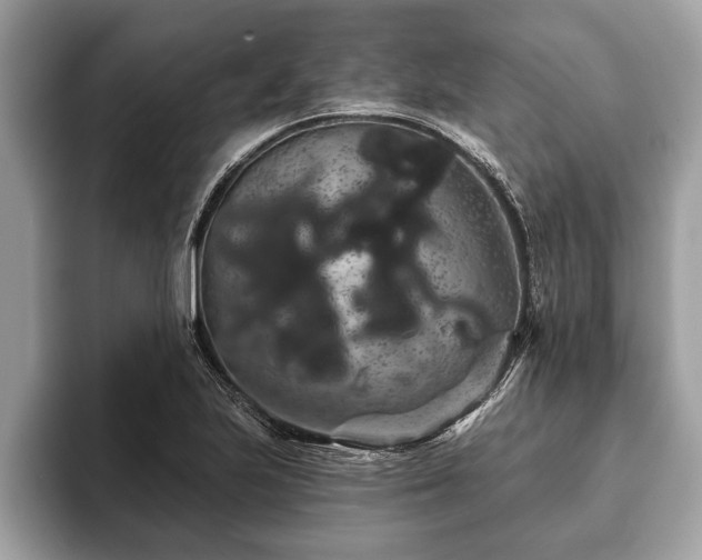 X0000093401223200710190917