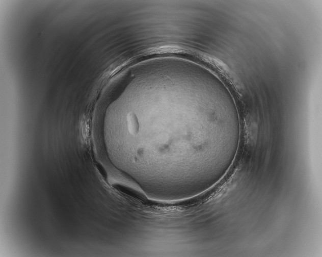 X0000093401225200710190917