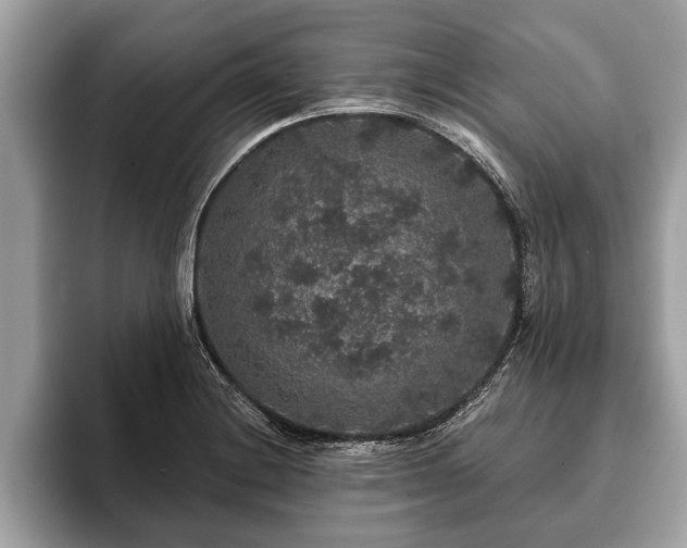 X0000093401228200710190917