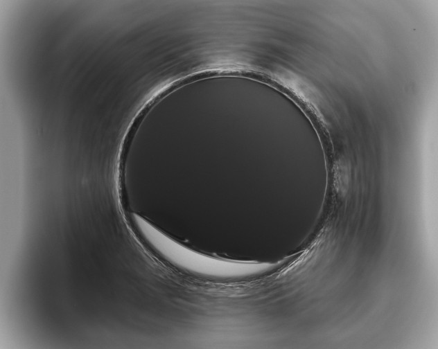 X0000093401229200710190917