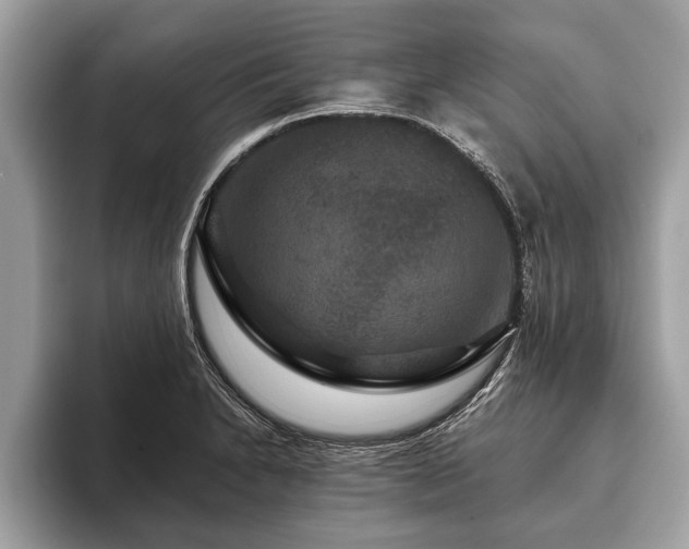 X0000093401230200710190917