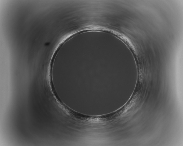 X0000093401231200710190917