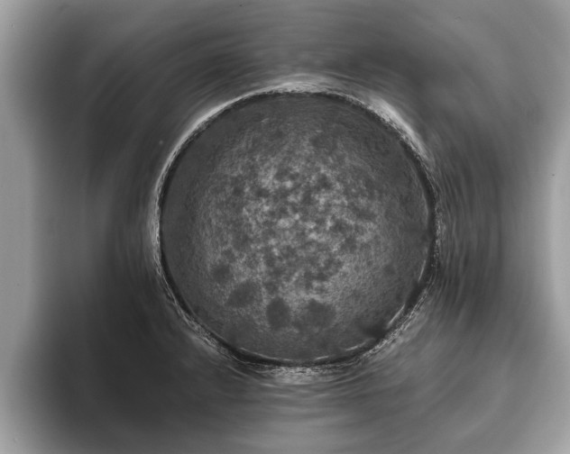 X0000093401232200710190917