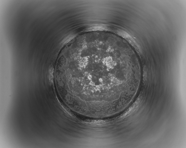 X0000093401233200710190917
