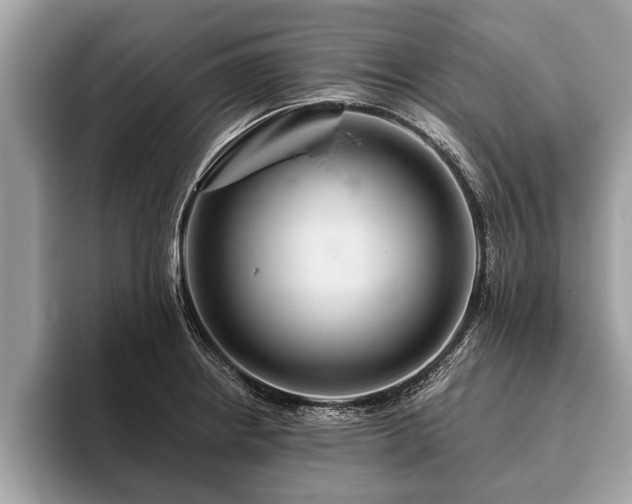 X0000093401234200710190917