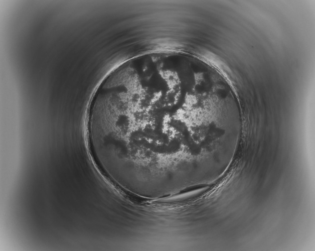 X0000093401235200710190917