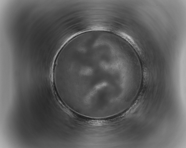 X0000093401236200710190917