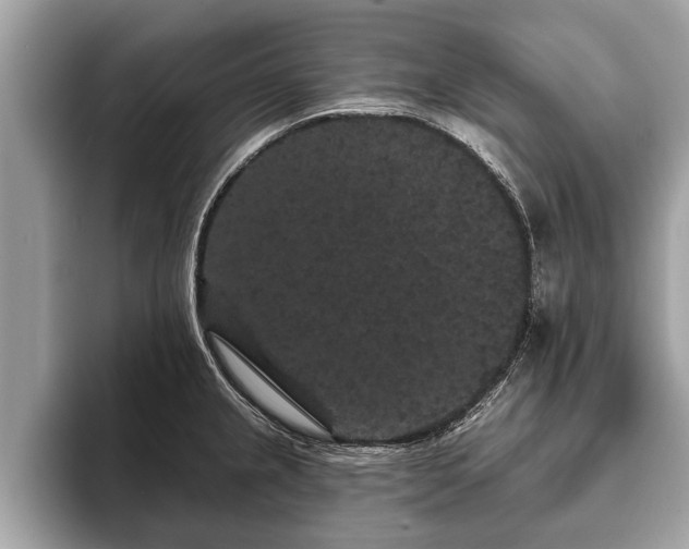 X0000093401237200710190917