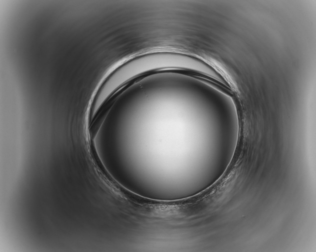 X0000093401238200710190917