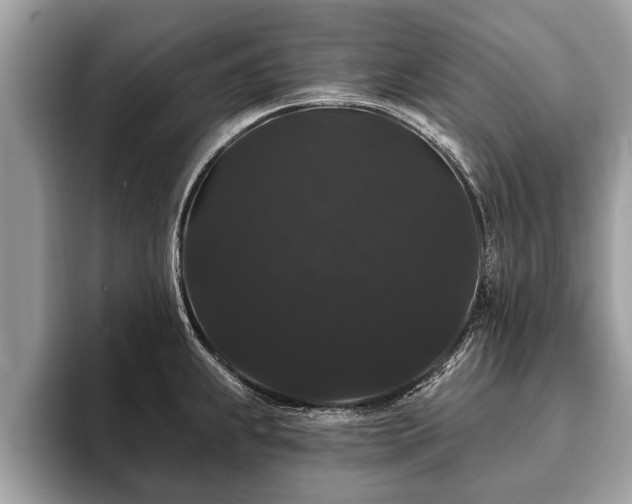 X0000093401239200710190917