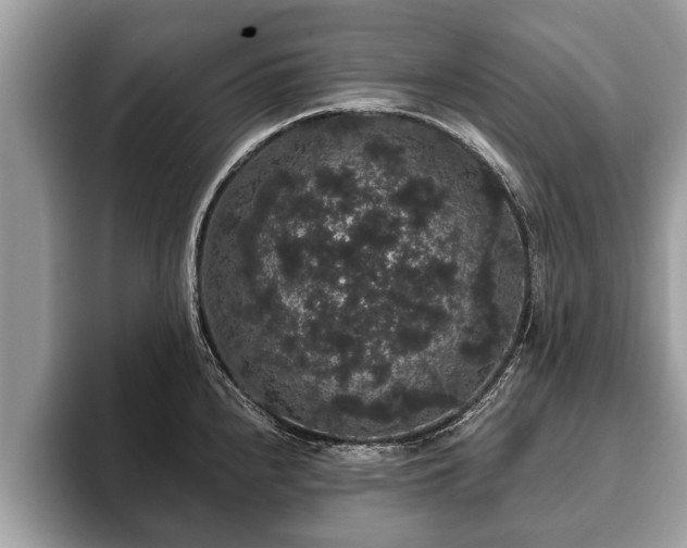 X0000093401240200710190917