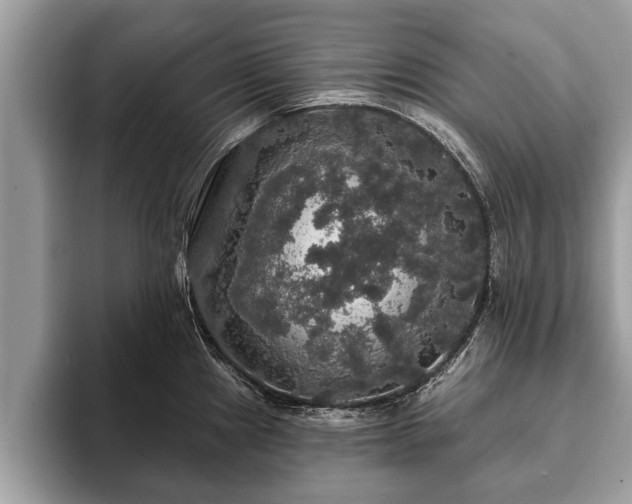 X0000093401241200710190917