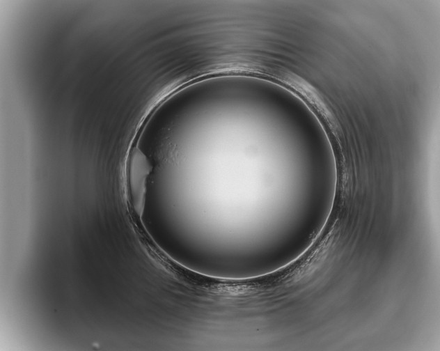 X0000093401242200710190917