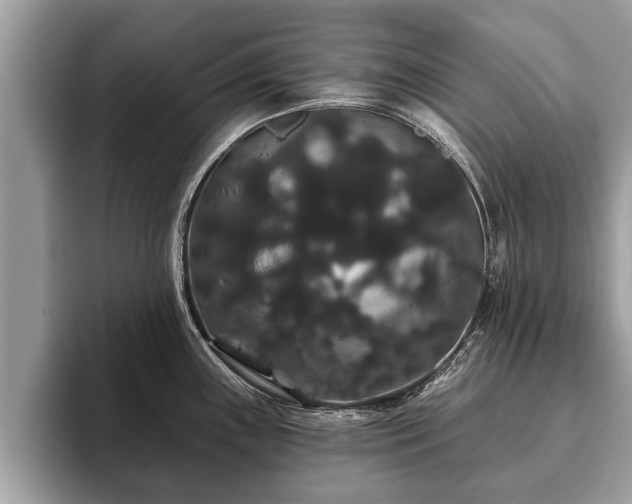 X0000093401243200710190918