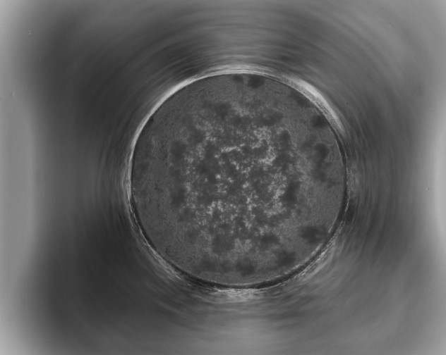X0000093401244200710190918