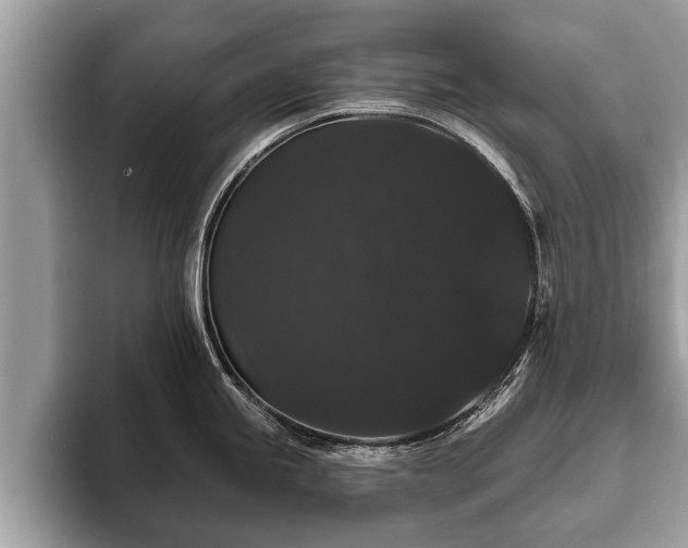 X0000093401245200710190918