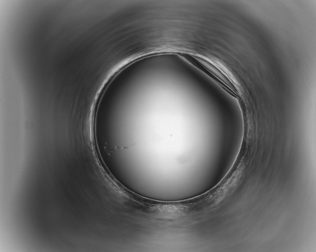 X0000093401246200710190918